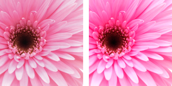 ネオンピンク印刷例